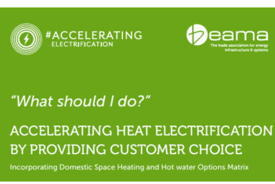 BEAMA relaunches ‘What Should I Do?’ paper 