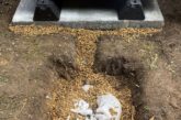 Q&A // ASHP Condensate removal 