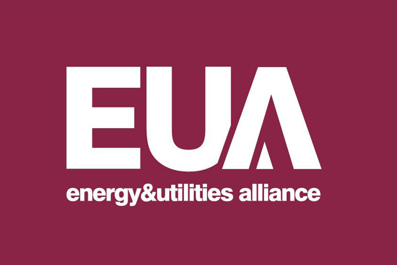 EUA backs Hydrogen as green gas alternative