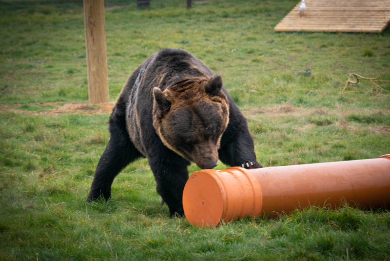 Polypipe helps out Yorkshire Wildlife Park