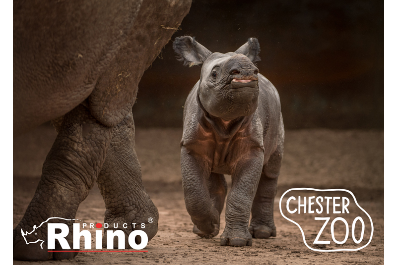 Rhino Products partners with Chester Zoo