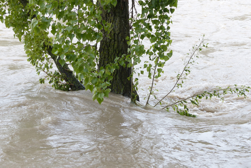 Xylem warns of further flooding