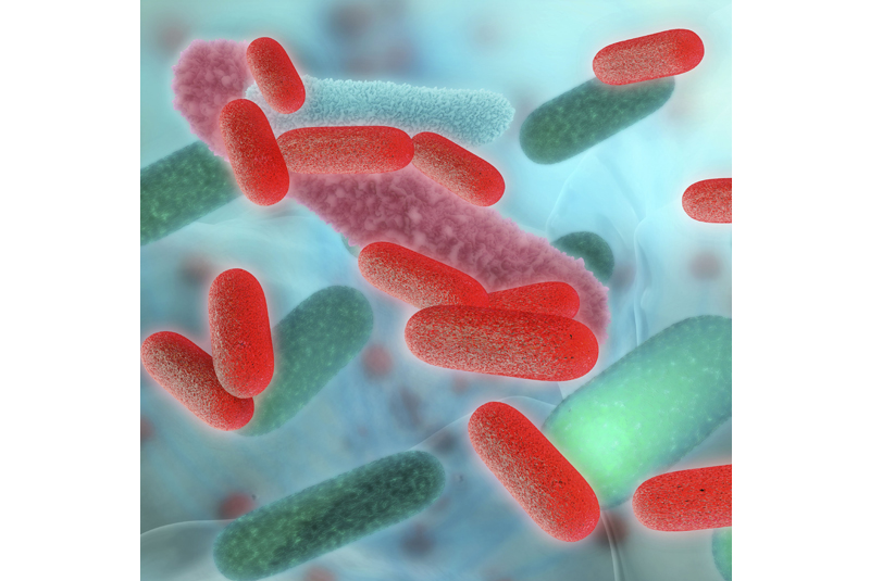 Bristan issues warning as Legionella hits the headlines