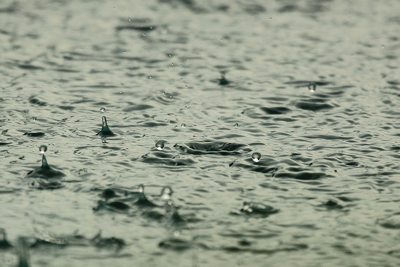 Plumbers are the hardest hit trade when bad weather strikes