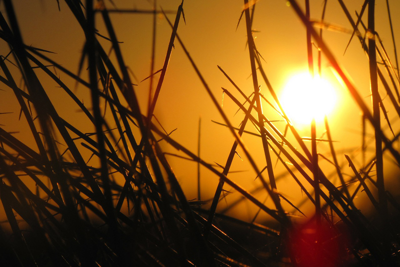 Eight tips for staying safe in hot weather