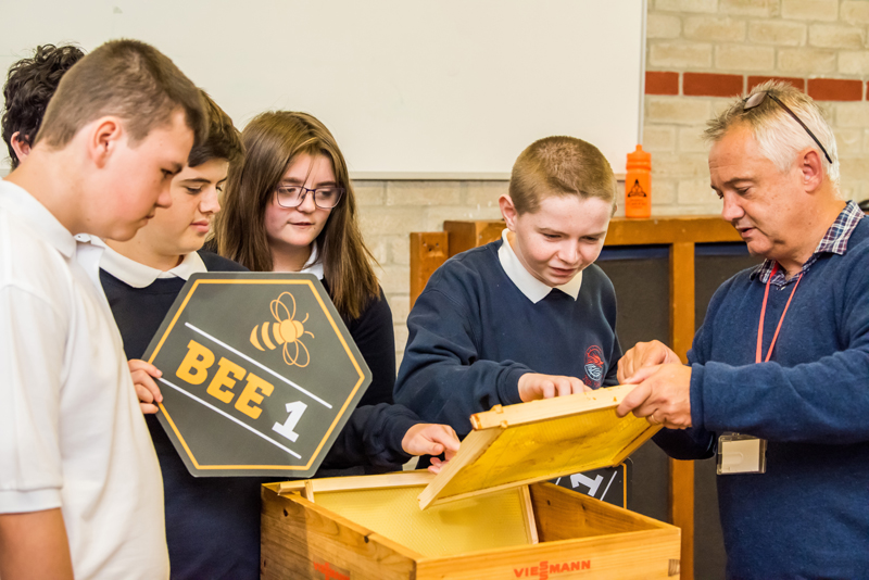 Installer helps primary schools become a hive of activity