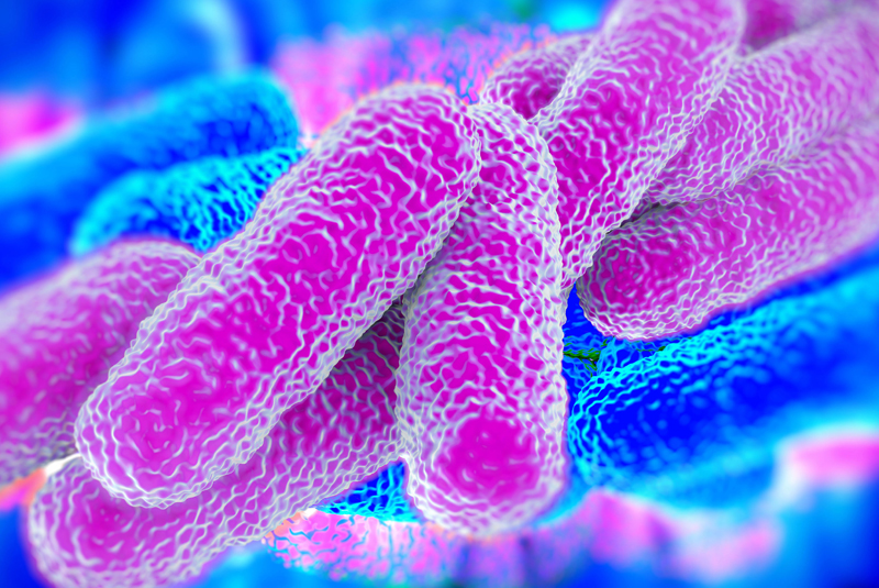 Legionella prevention