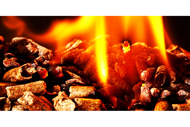 Woodsure calls for promotion of quality wood fuel